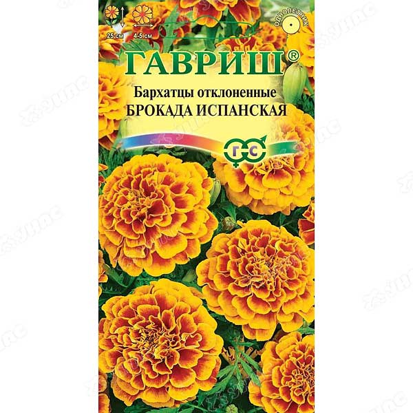 Бархатцы Брокада испанская  Гавриш Ц 