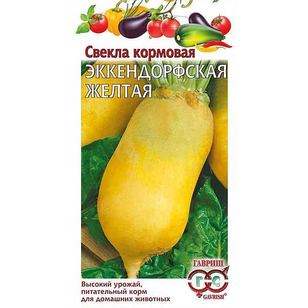 Свекла корм. Эккендорфская желтая Гавриш Ц