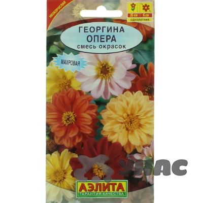 Георгин Опера смесь Аэлита Ц 