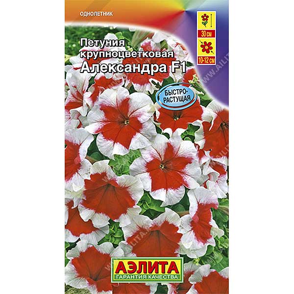 Петуния Александра крупноцв. Аэлита Ц 