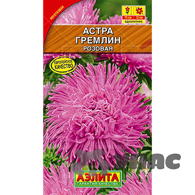 Астра Гремлин розовая Аэлита Ц 