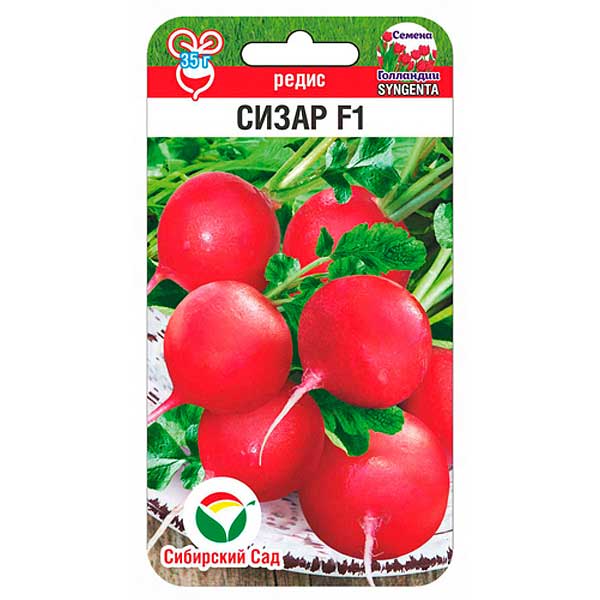 Редис Сизар СибСад Ц