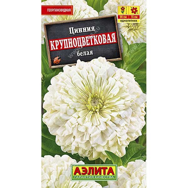 Циния Крупноцветковая белая Аэлита Ц х10 