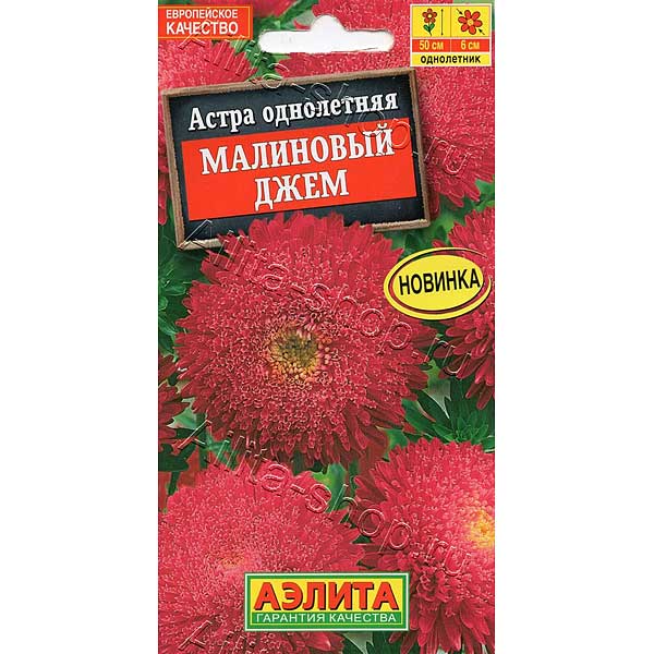 Астра Малиновый джем Аэлита Ц 