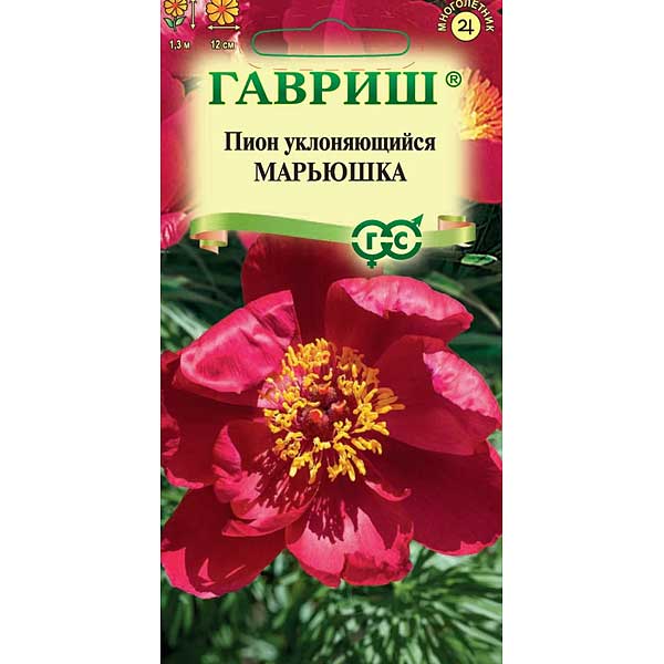 Пион Марьюшка Гавриш Цх10 