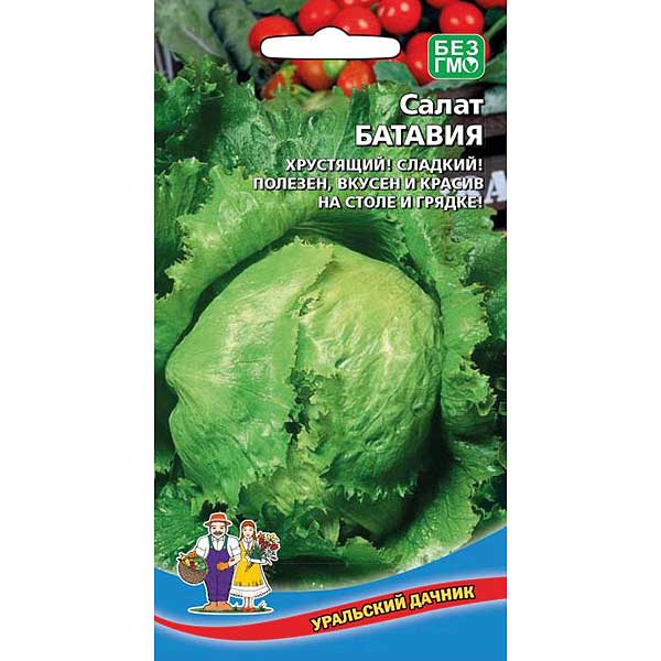 Салат Батавия Марс Ц