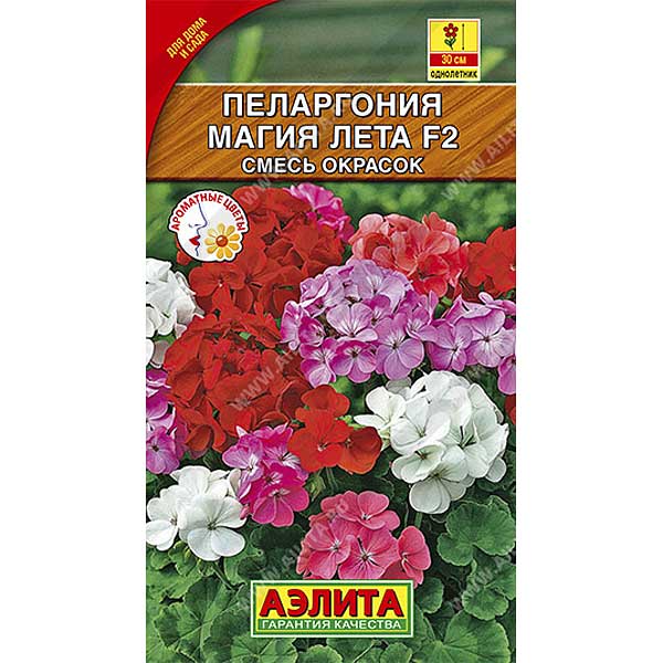 КОМ Пеларгония Магия лета  Аэлита Ц 