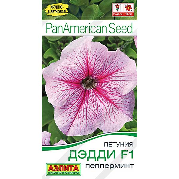 Петуния Дэдди пепперминт Аэлита Ц х10 