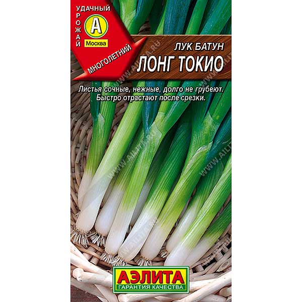 Лук батун Лонг Токио Аэлита Ц