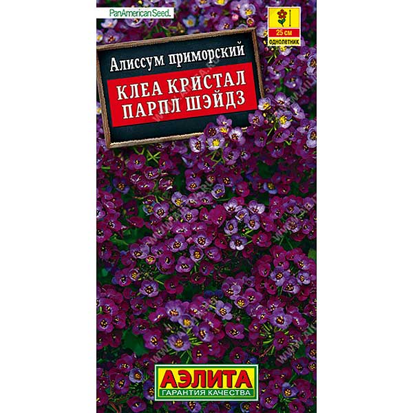 Алиссум Клеа кристал парпл шэйдз Аэлита Цх10 