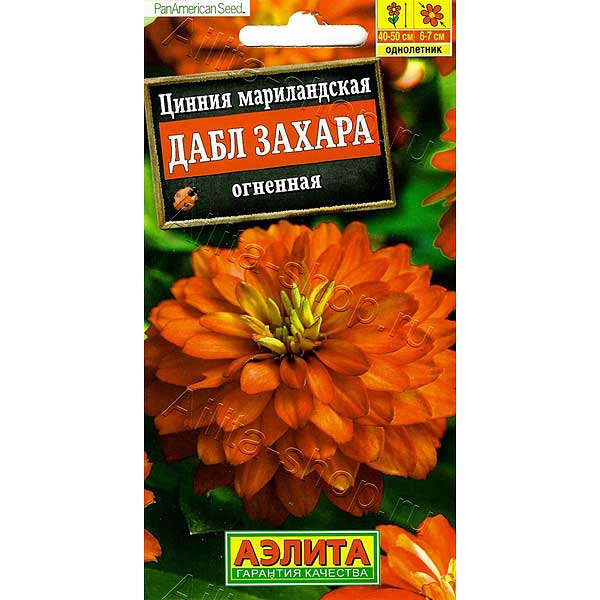 Циния Дабл Захара огненная Аэлита Цх10 