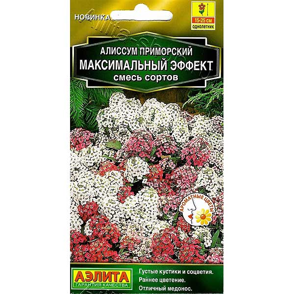 Алиссум Максимальный эффект Аэлита Ц 
