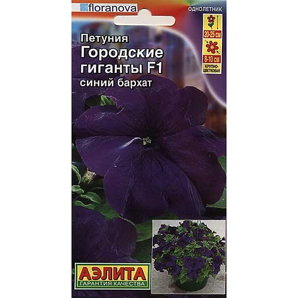 Петуния Городские гиганты синий бархат Аэлита Ц 