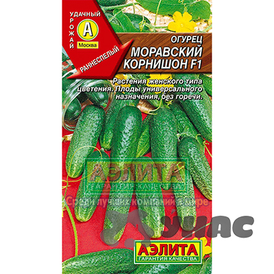 Огурец Моравский Корнишон Аэлита Ц