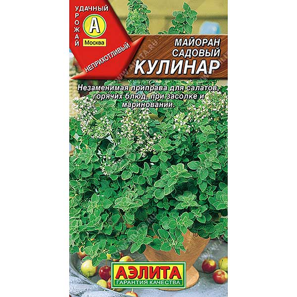 Майоран Кулинар Аэлита Ц