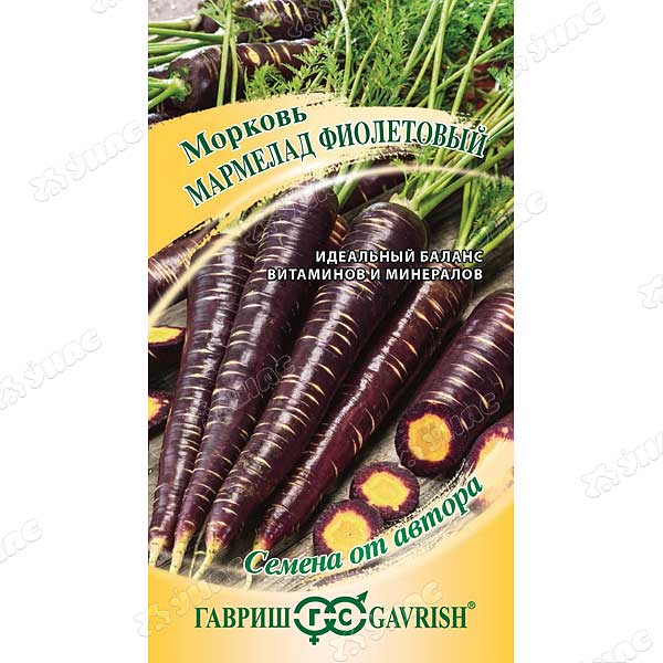 Морковь Мармелад фиолетовый Гавриш Ц