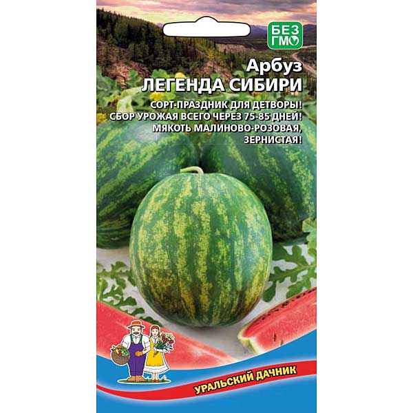 Арбуз Легенда Сибири Марс Ц