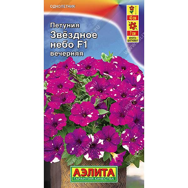 Петуния Звездное небо вечерняя Аэлита Ц х10 