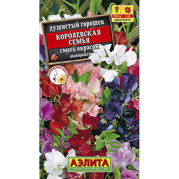 Душистый горошек Королевская семья Аэлита Ц 