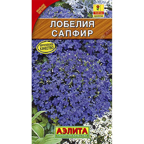 Лобелия Сапфир Аэлита Ц 