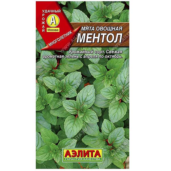 Мята Ментол овощная "Лидер" Аэлита Ц