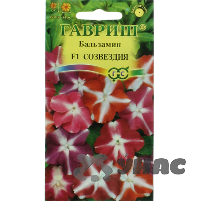 Бальзамин Уоллера Созвездия Гавриш Ц 