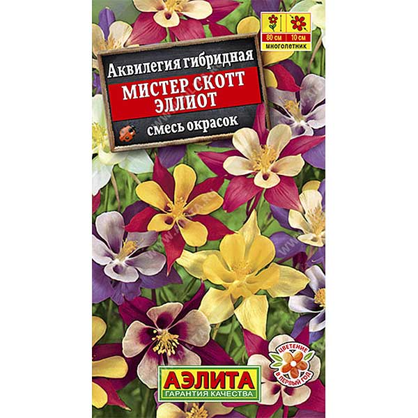 Аквилегия Мистер Скотт Эллиот смесь Аэлита Ц 