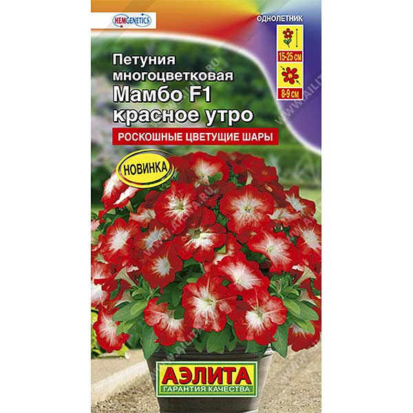 Петуния Мамбо красное утро Аэлита Ц 
