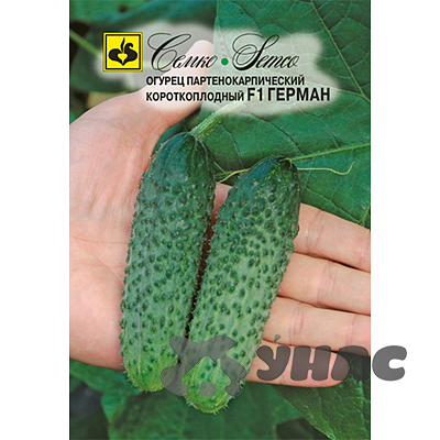 Огурец Герман Семко Ц