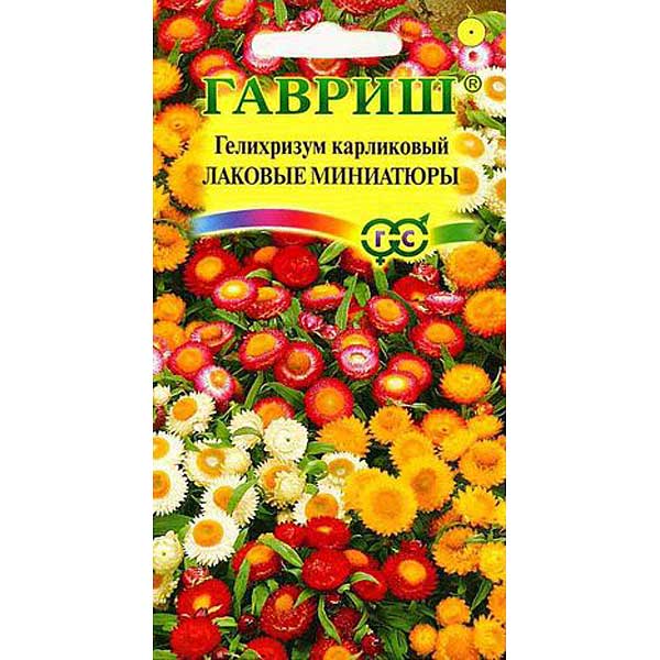 Гелихризум карл.Лаковые миниатюры Гавриш Ц 