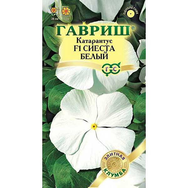 Катарантус Сиеста белый Гавриш Ц 