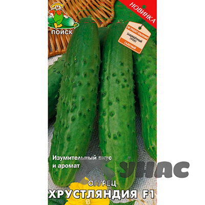 Огурец Хрустляндия Поиск Ц