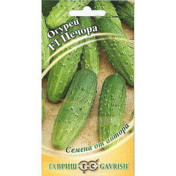 Огурец Печора Гавриш Ц