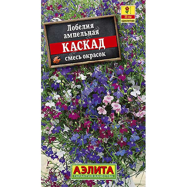 Лобелия Каскад см. Аэлита Ц 