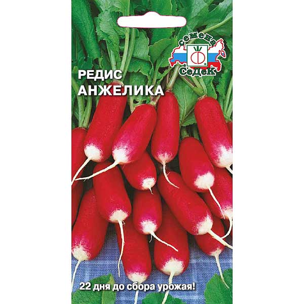 Редис Анжелика Седек Ц