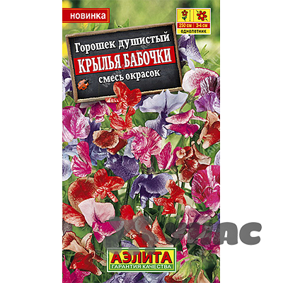 Душистый горошек Крылья бабочки Аэлита Ц 
