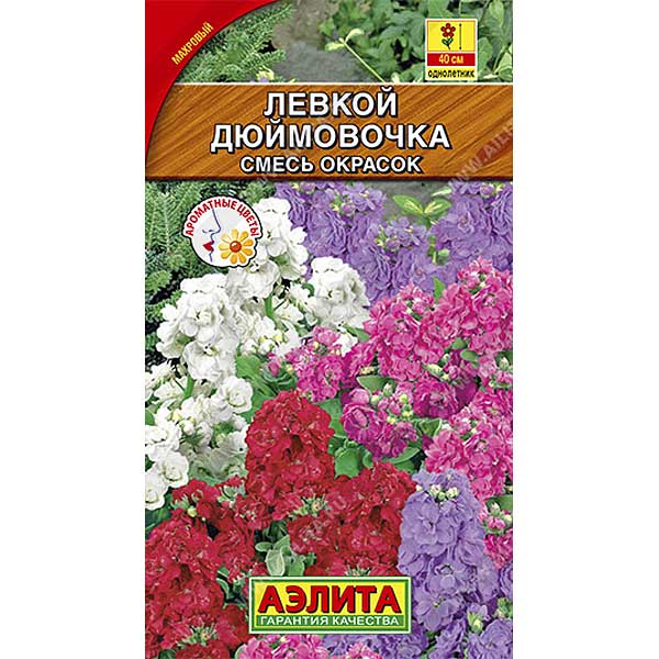 Левкой Дюймовочка карликовый смесь Аэлита Ц 