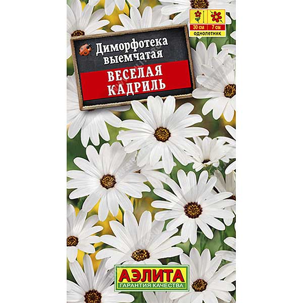 Диморфотека Веселая кадриль Аэлита Ц 