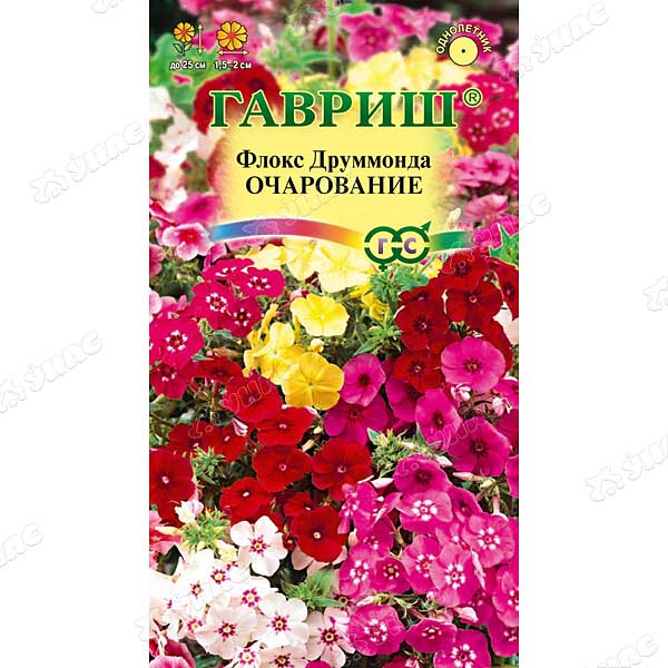 Флокс Друммонда Очарование смесь Удачные Семена Гавриш Ц 