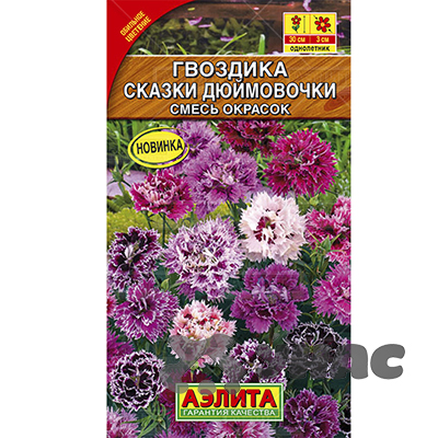 Гвоздика китайская Сказки дюймовочки Аэлита Цх10 