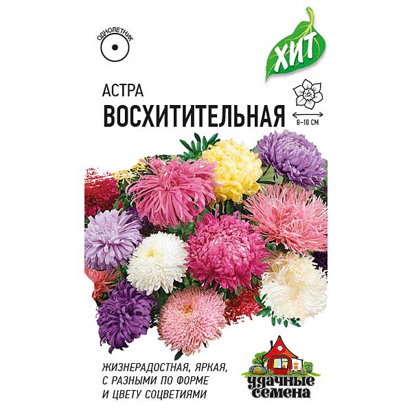 Астра Восхитительная смесь (метал) Гавриш Ц 