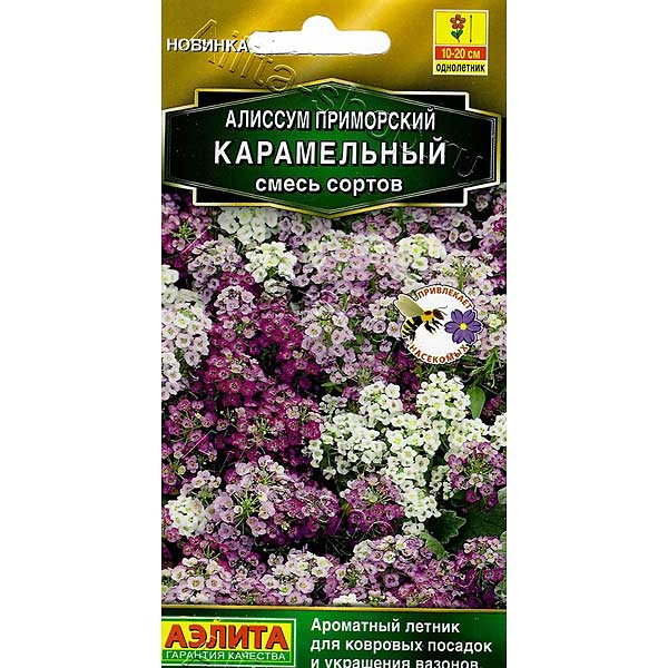 Алиссум Карамельный Аэлита Ц 