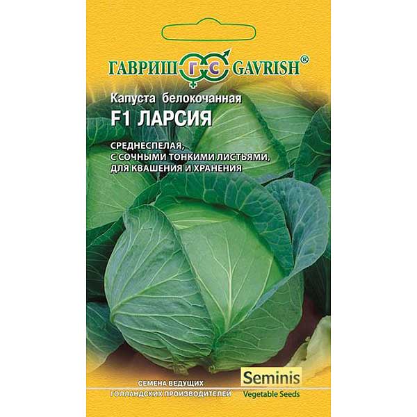 Капуста Ларсия для квашения Гавриш Ц