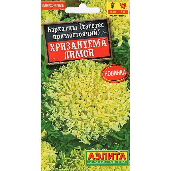 Бар Хризантема лимон Аэлита Ц 