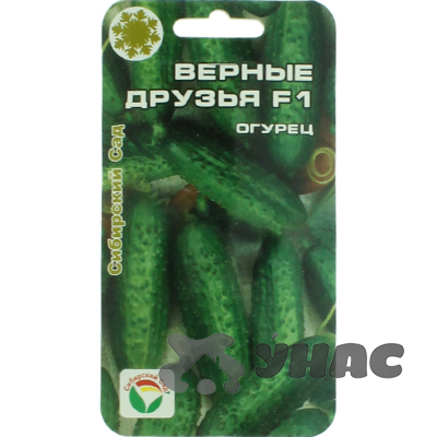 Огурец Верные друзья СибСад Ц