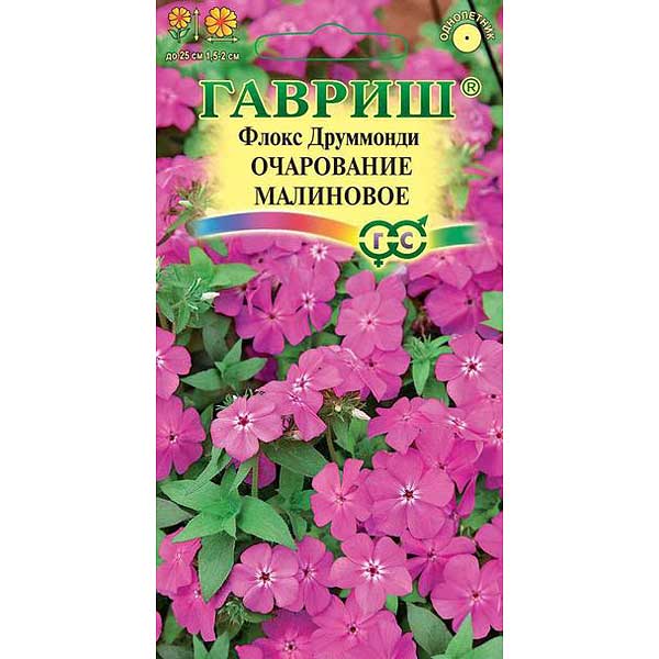Флокс Друммонда Очарование малиновое Гавриш Ц 