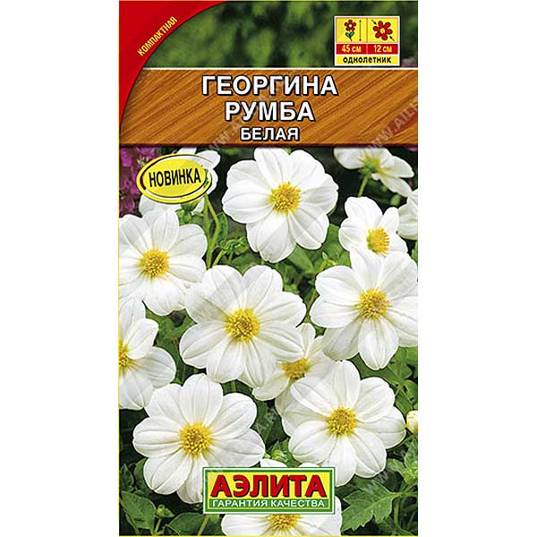 Георгин Румба белая Аэлита Ц 