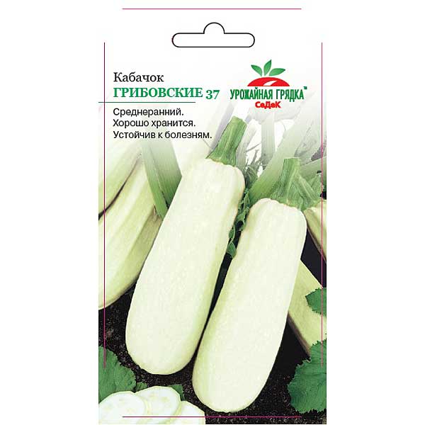Кабачок Грибовский 37 Седек Ц