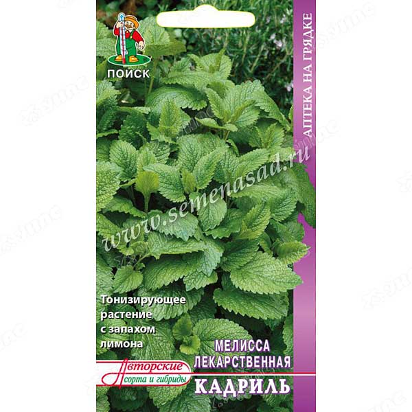 Мелисса Кадриль Поиск Ц