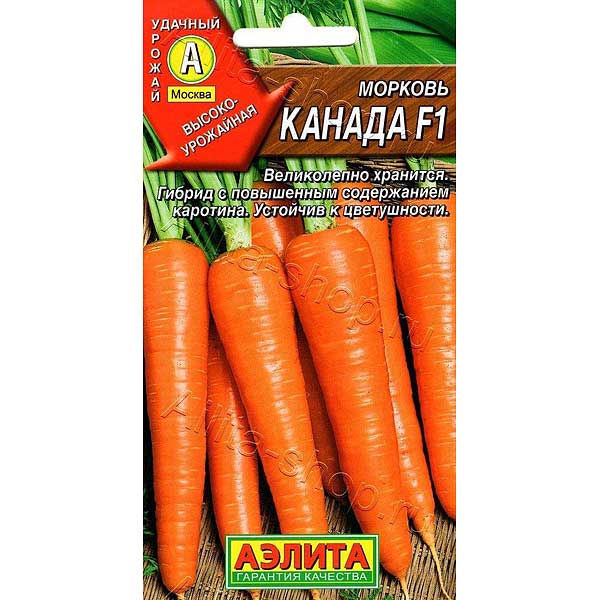 Морковь Канада  Аэлита Ц "Лидер"